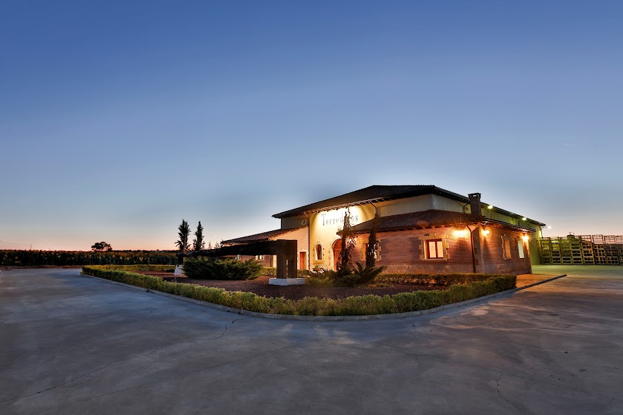 Bodegas Torrederos - Ribera del Duero