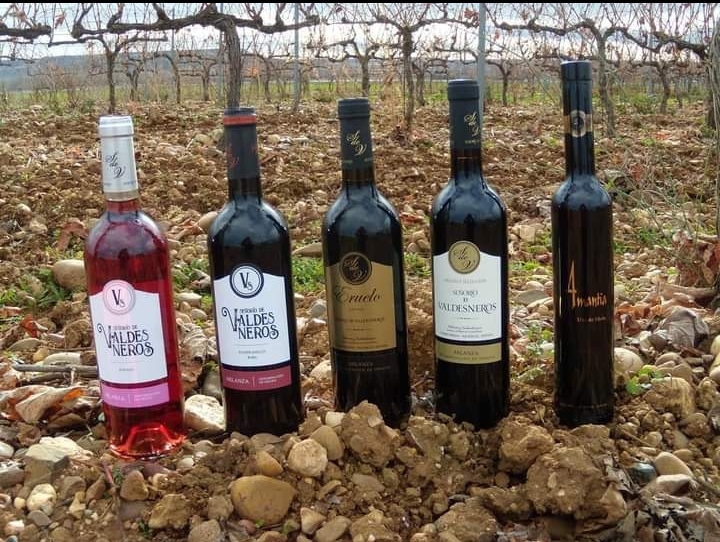 Bodegas Valdesneros