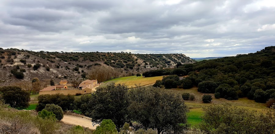 Monte El Viejo