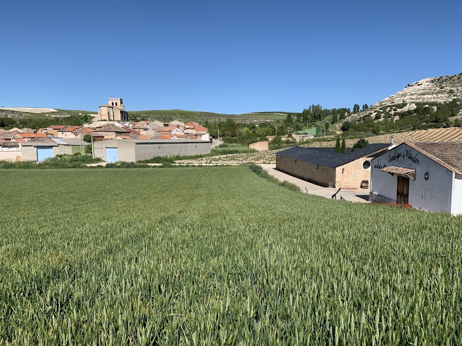 BODEGA ARBÁS
