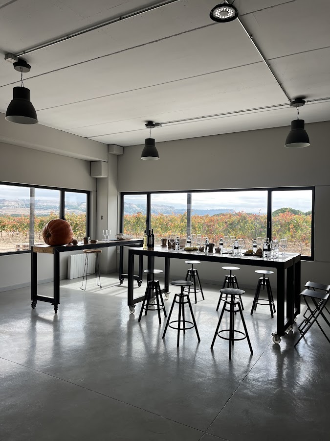 Bodega Hijos de Antonio Polo - Pagos de Peñafiel y Aldealbar