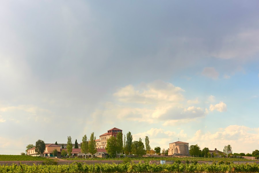 Bodegas y Viñedos La Mejorada