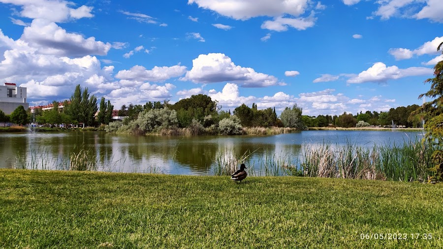 Entorno del Lago