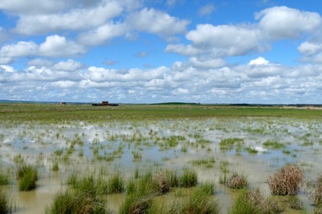 Laguna de El Oso (ZEPA)