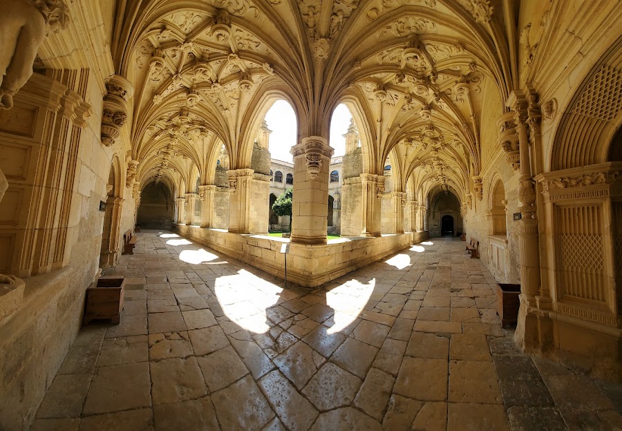 Monasterio de San Zoilo Visitas Turísticas