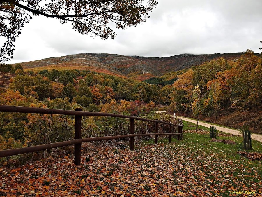 Riofrío de Riaza